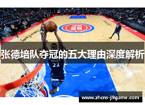 张德培队夺冠的五大理由深度解析